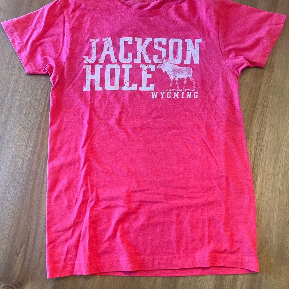 Jackson Hole T-Shirt - small